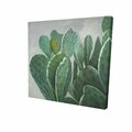 Fondo 32 x 32 in. Paddle Cactus-Print on Canvas FO2791915